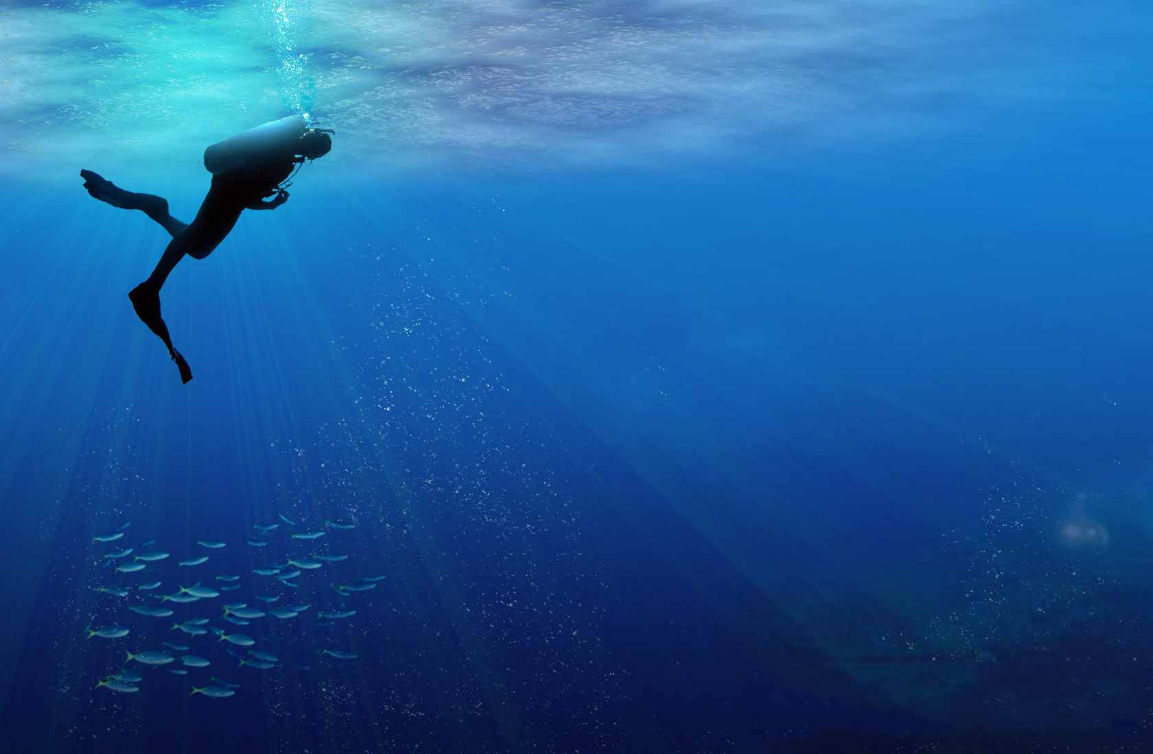 Buceoen El Mar Transparente Fondo de pantalla
