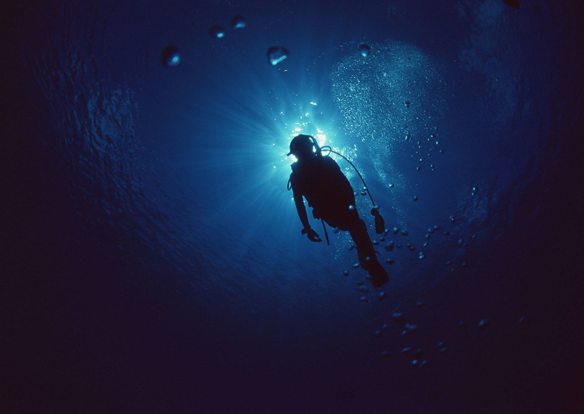 Scuba Diving In The Deep Blue Sea Wallpaper