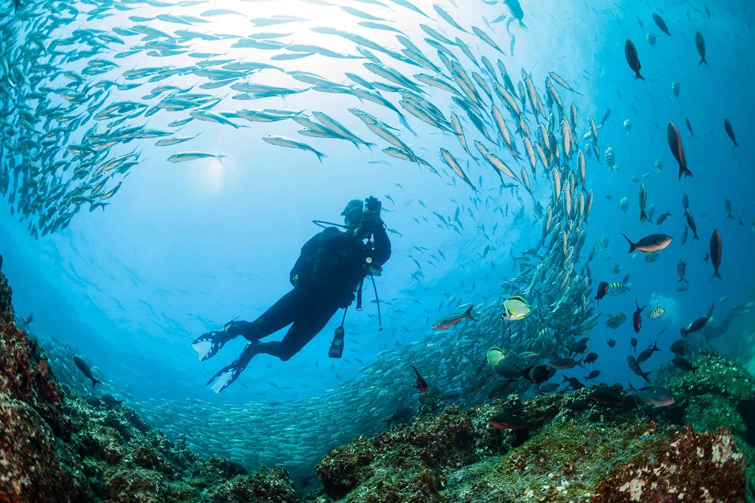 Scuba dykning i Galapagos øerne Wallpaper