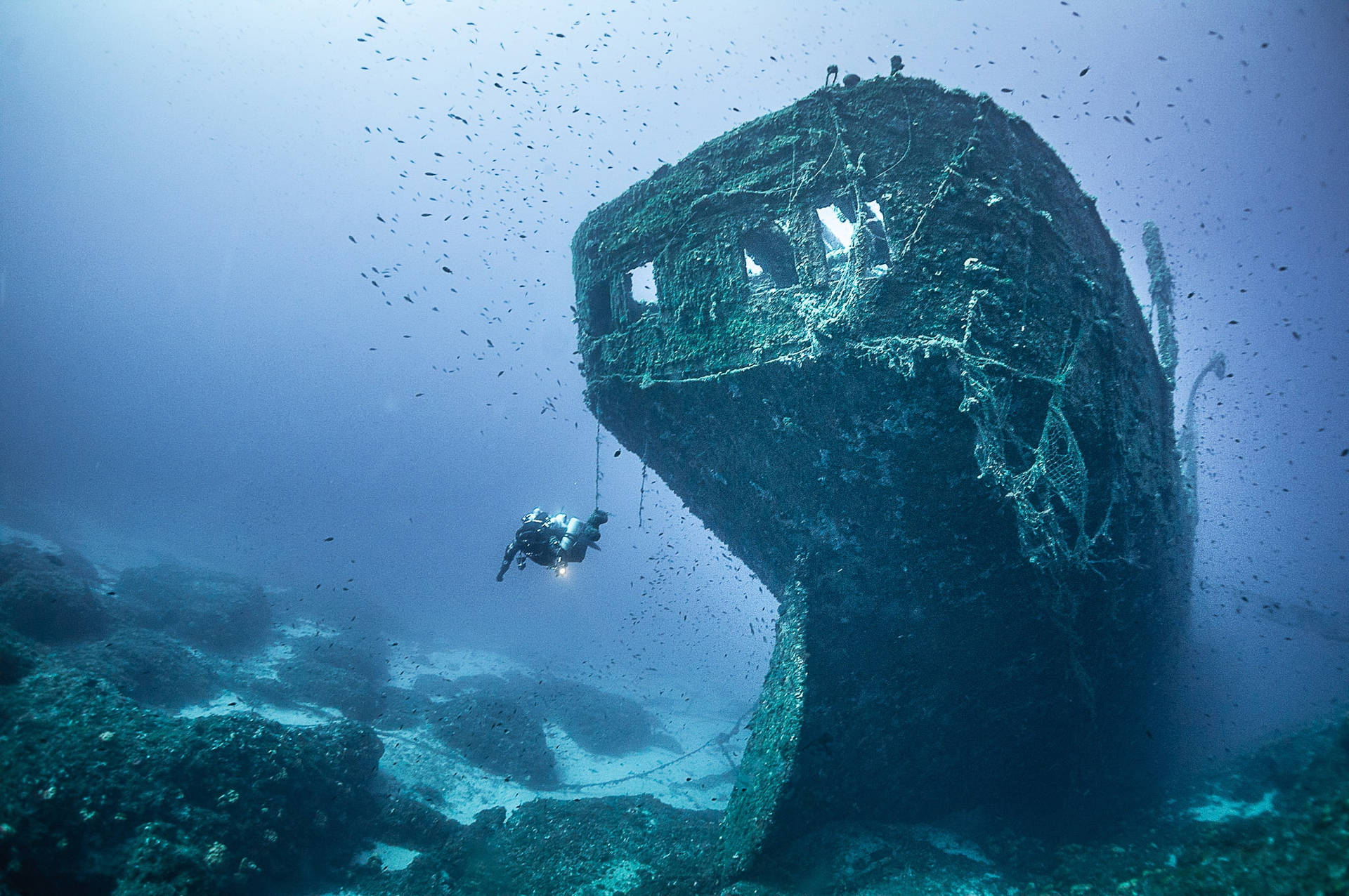 Scuba dykning Old Shipwreck Scene Wallpaper