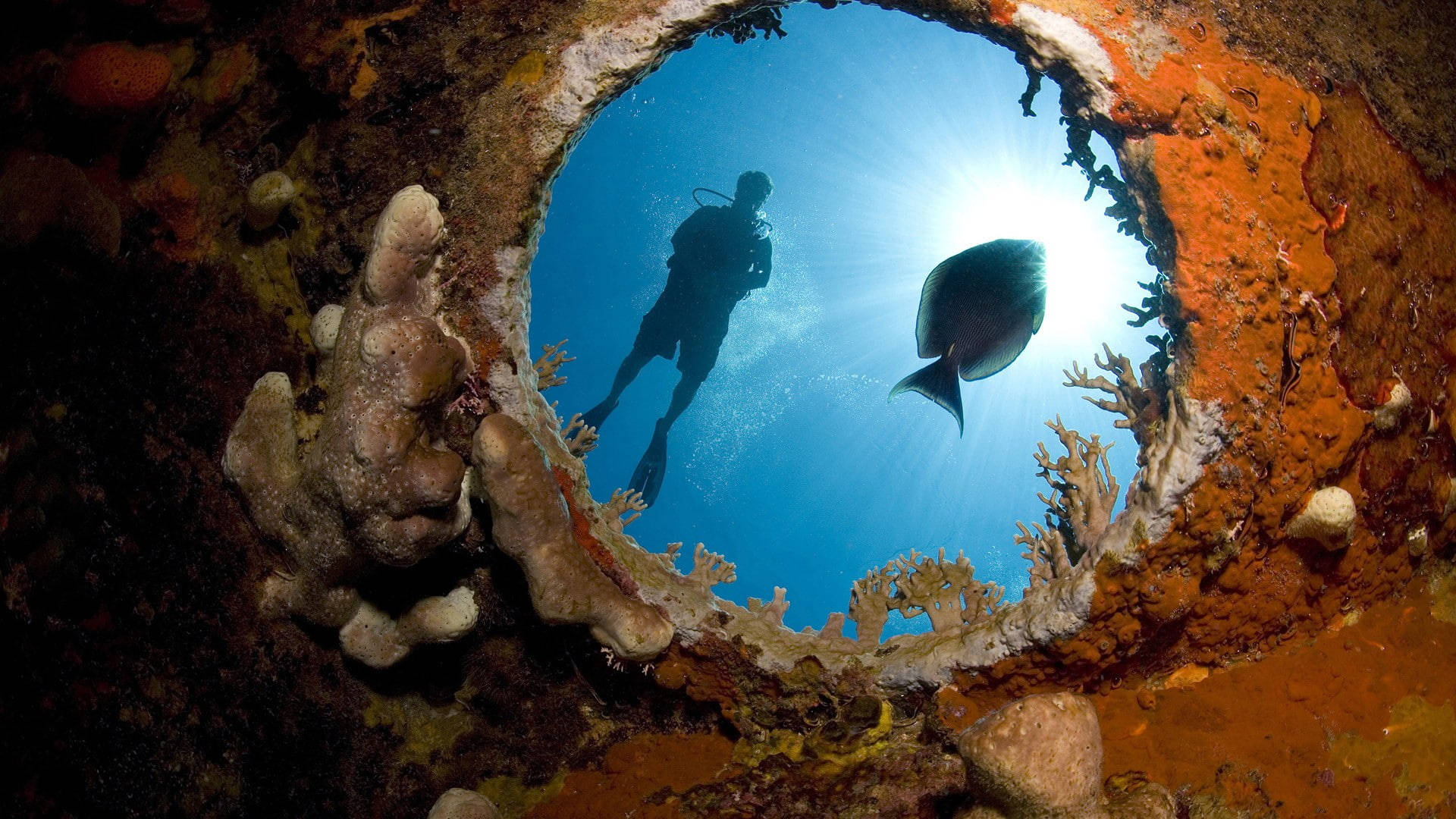 Scuba Diving Reflection On Porthole Wallpaper