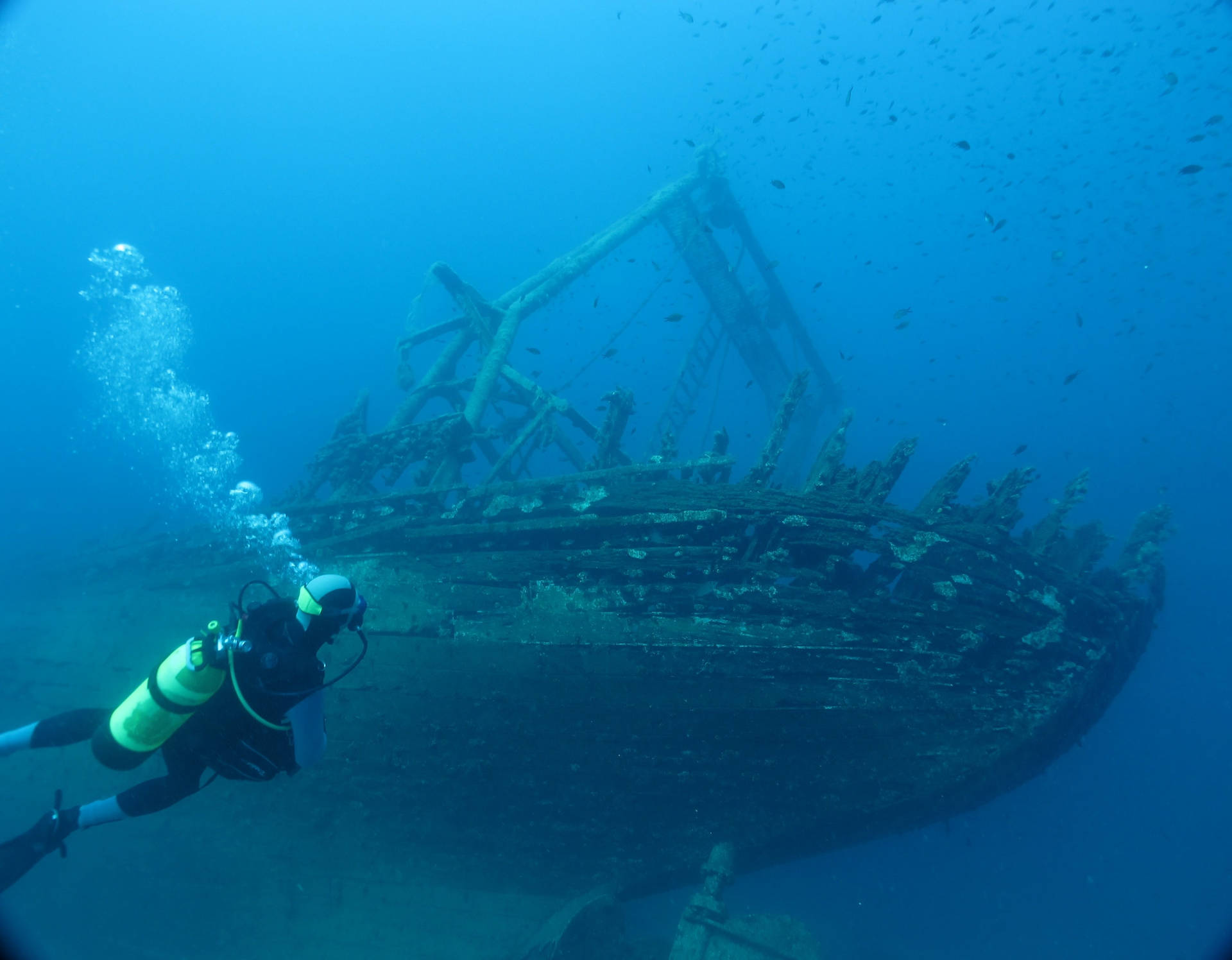 Dykning Undervands Skibsvrag Wallpaper