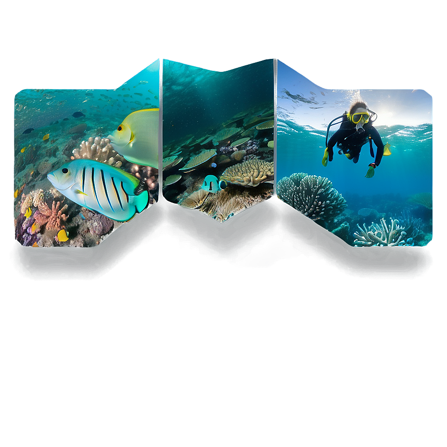 Scuba In The Great Barrier Reef Png 06252024 PNG