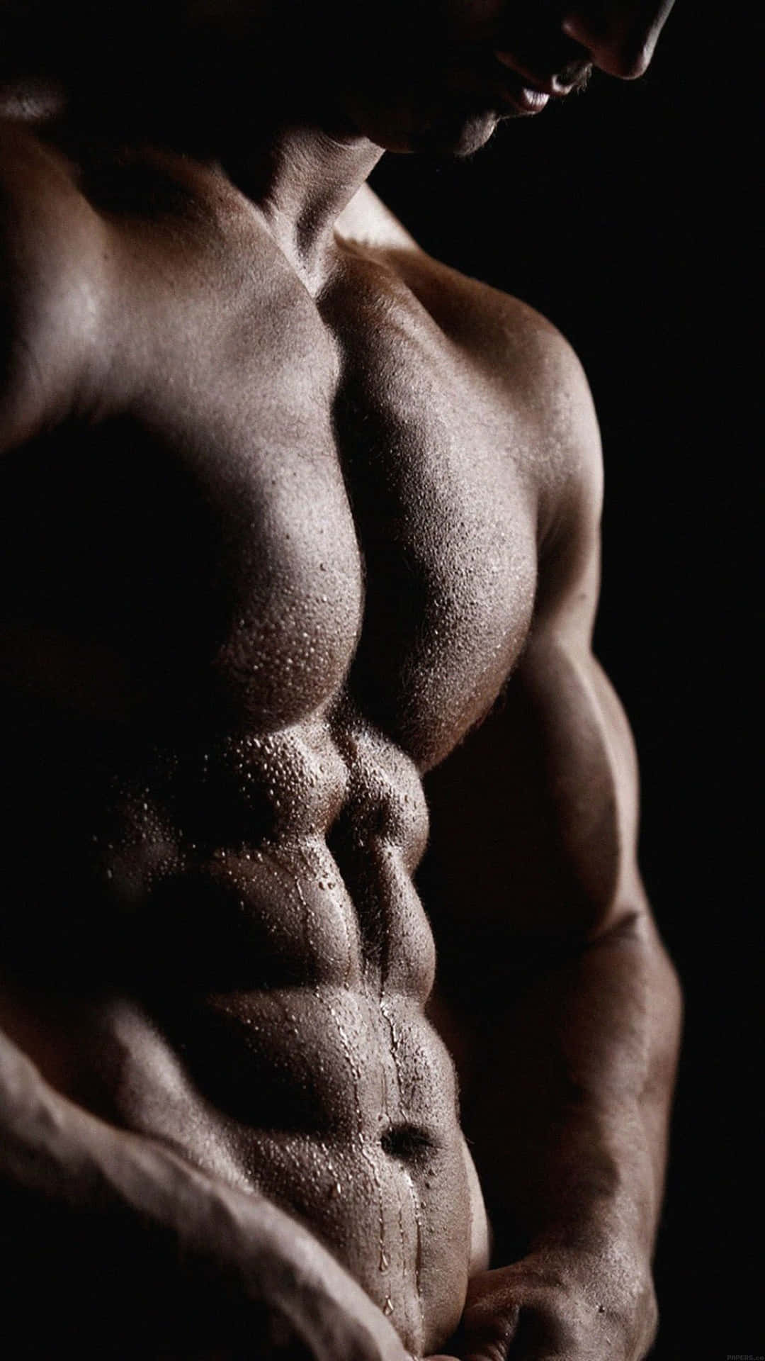 Sculpted Musculaturein Shadow Wallpaper