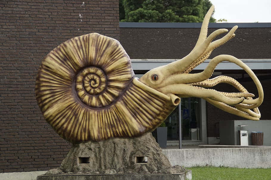 Sculptureof Nautilusand Squid Wallpaper