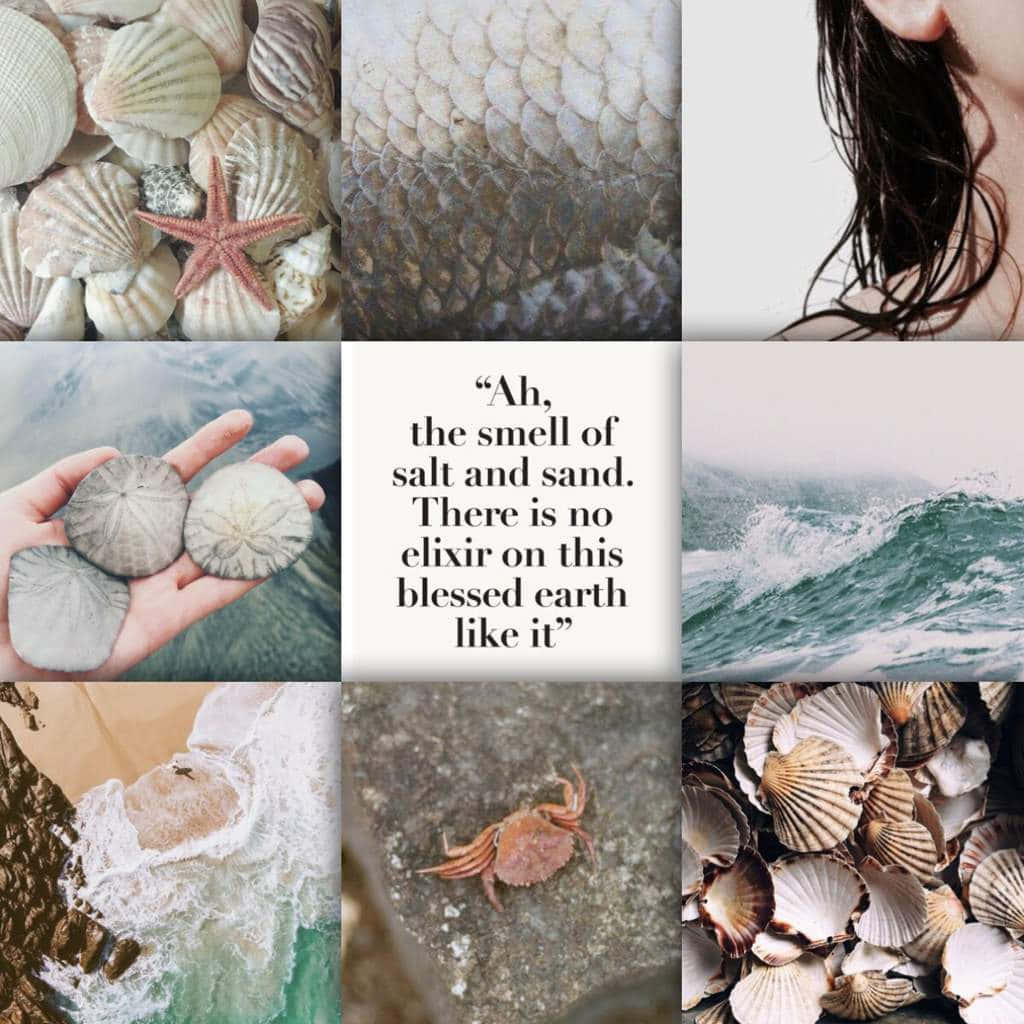 Collage Of The Sea Aesthetic Picture