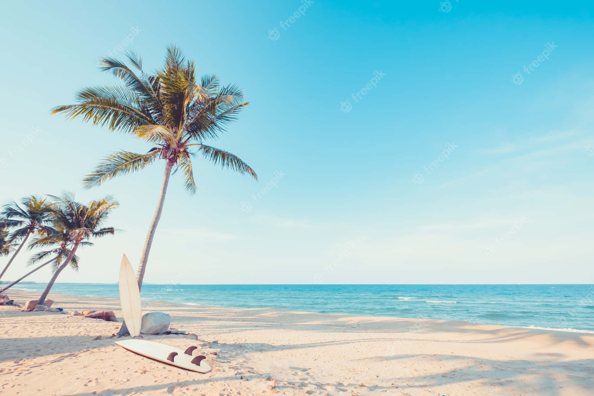 A Beach With Palm Trees And A Surfboard