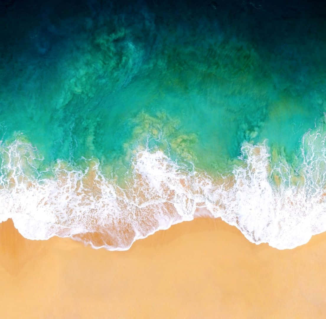 Refreshing Sea Breeze at a Tropical Beach Wallpaper