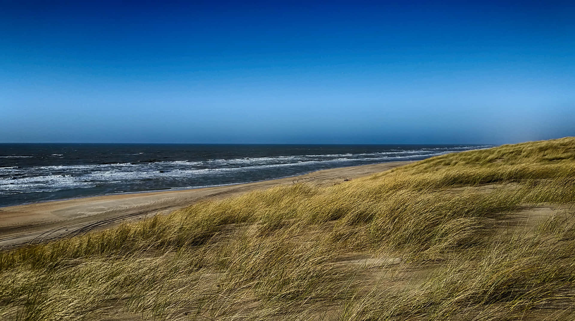 A serene scene of the calm sea breeze on a sunny day Wallpaper