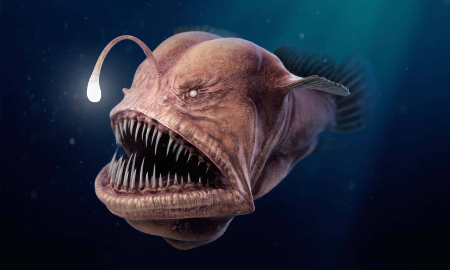 An Underwater World of Creatures Awaits