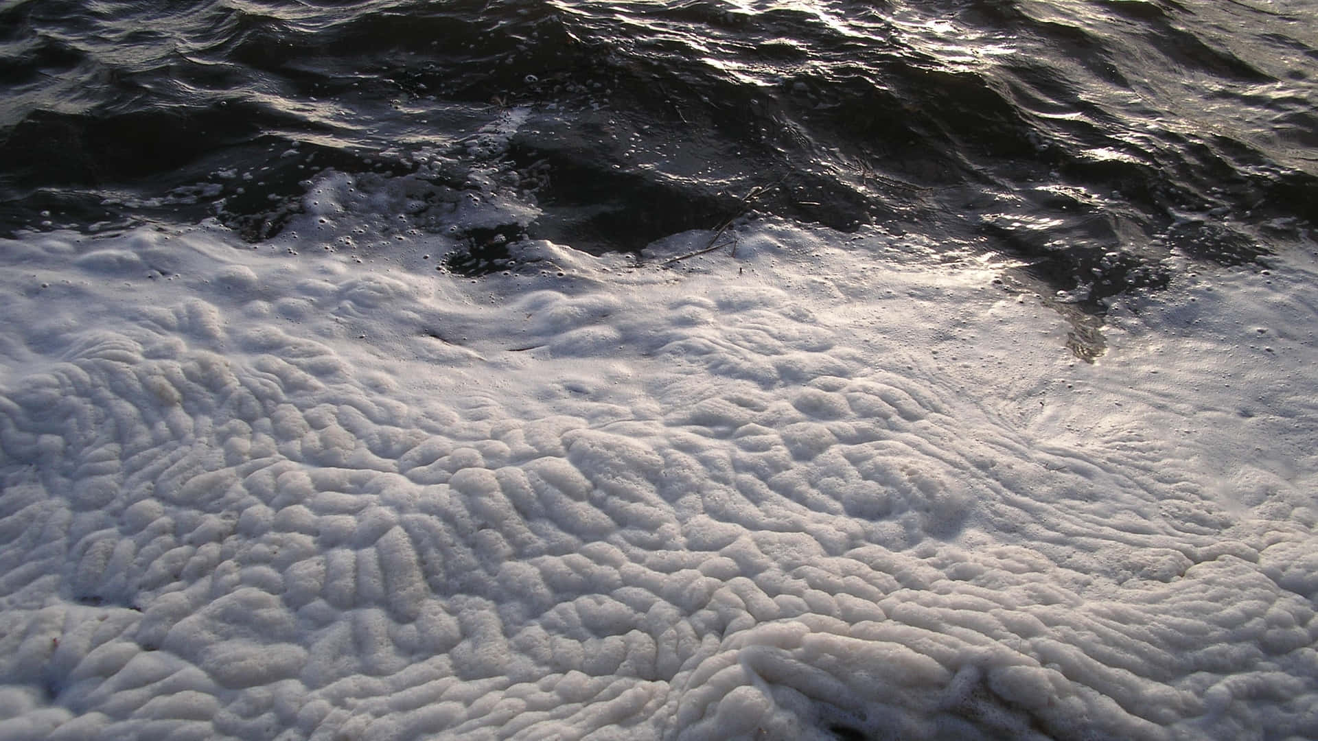 Sea Foam. Wallpaper