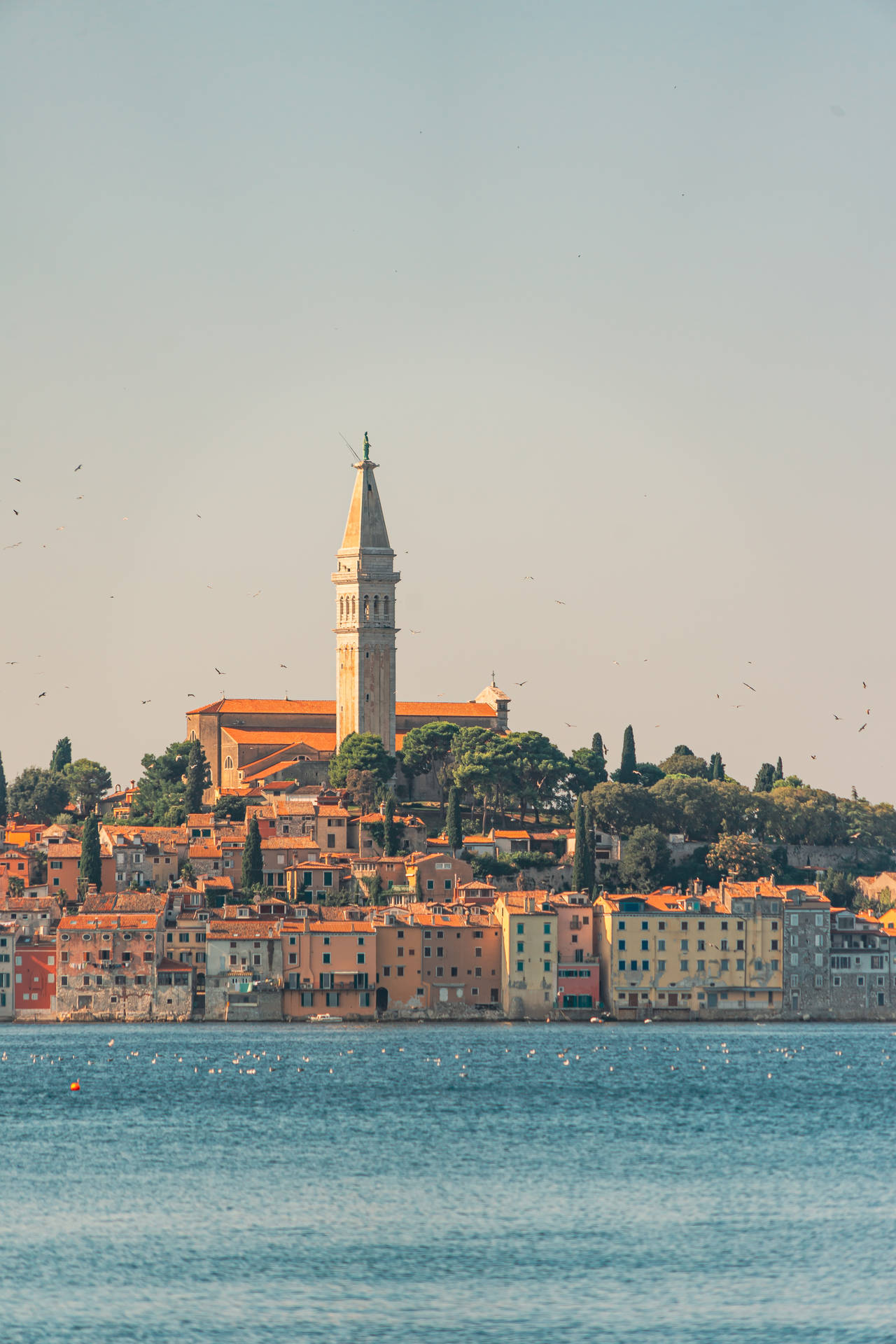 Meereshd Rovinj Wallpaper