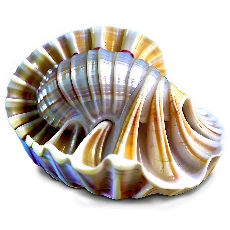 Sea Treasure Shell PNG 29 PNG — A luminous nautilus shell with iridescent stripes glows against a soft gradient background.
