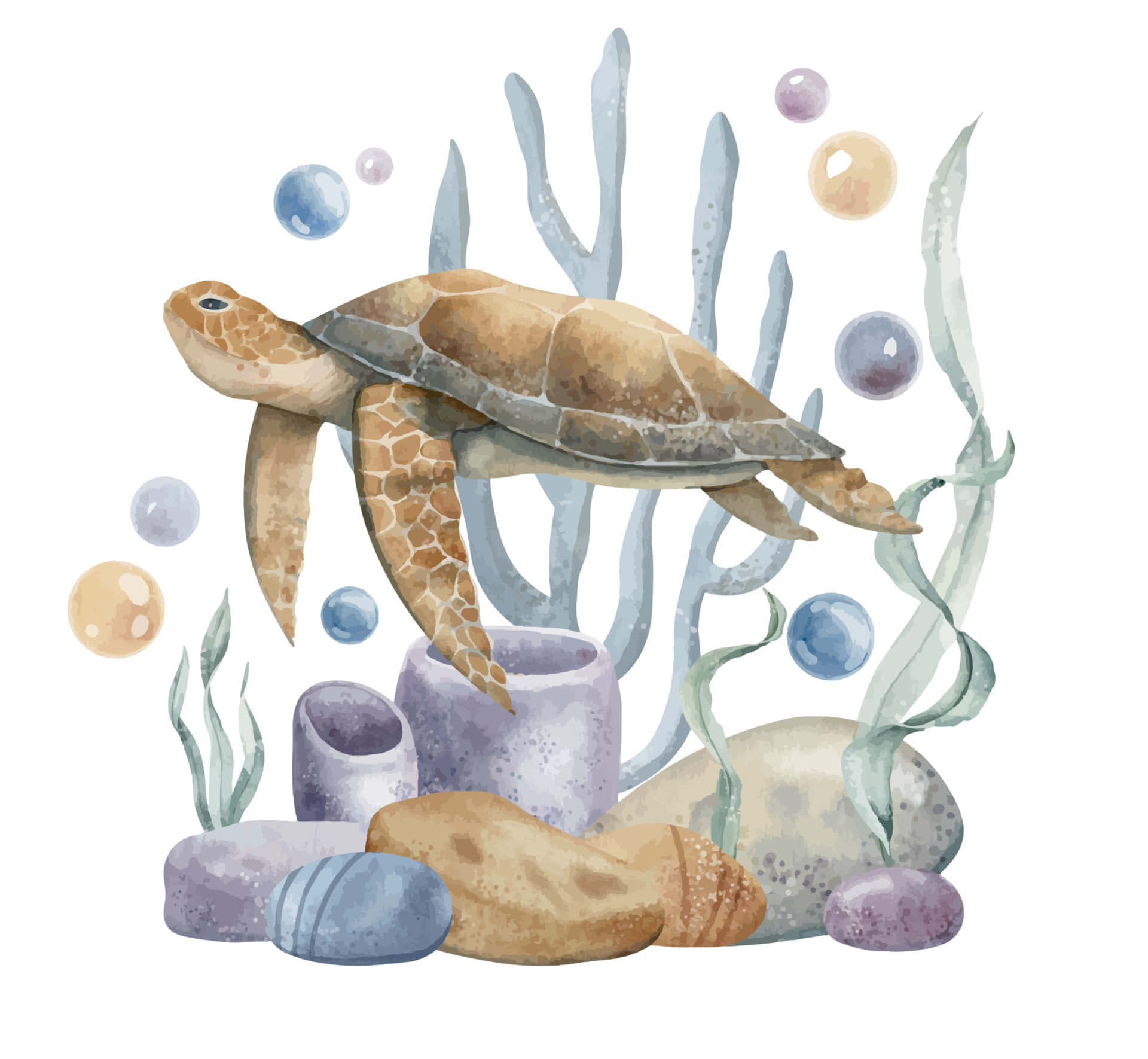 Majestic Sea Turtle Swimming Underwater