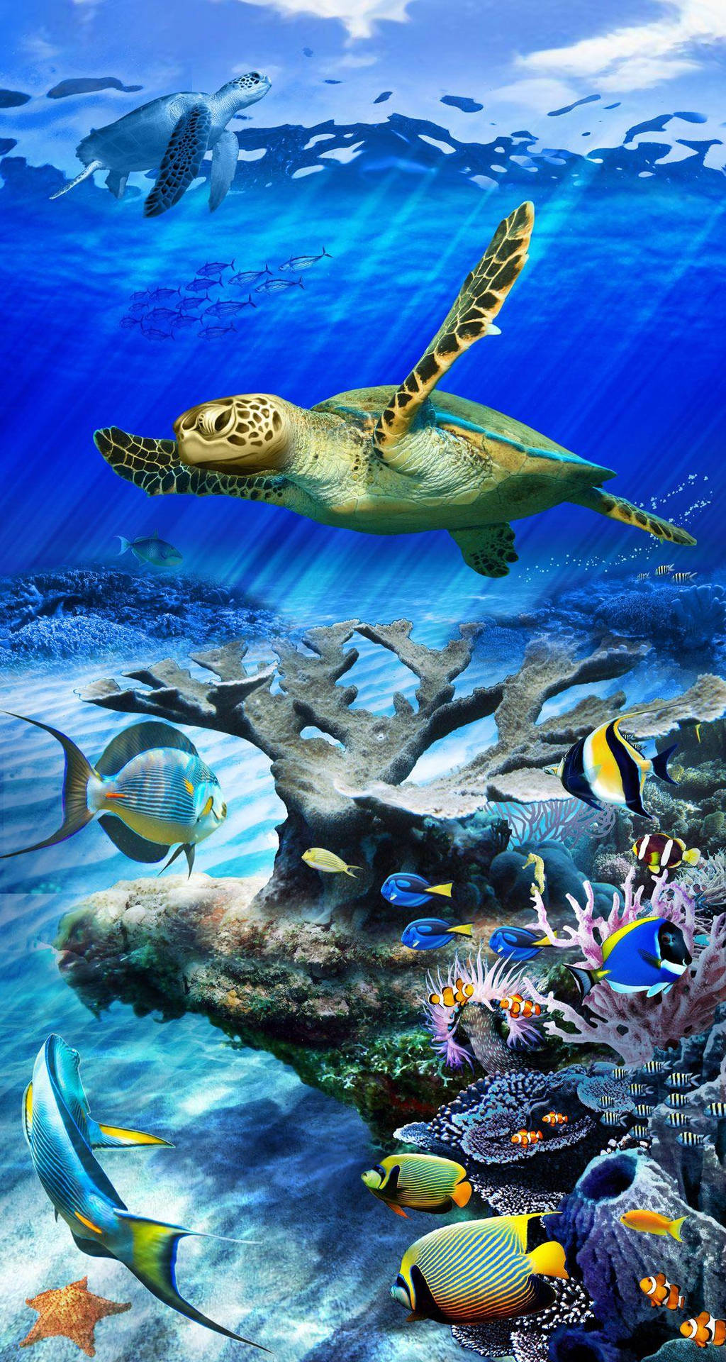 Sea Turtle Colorful Fish iPhone Wallpaper