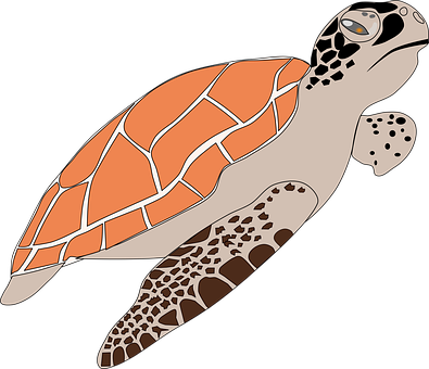 Download Sea Turtle Illustration | Wallpapers.com