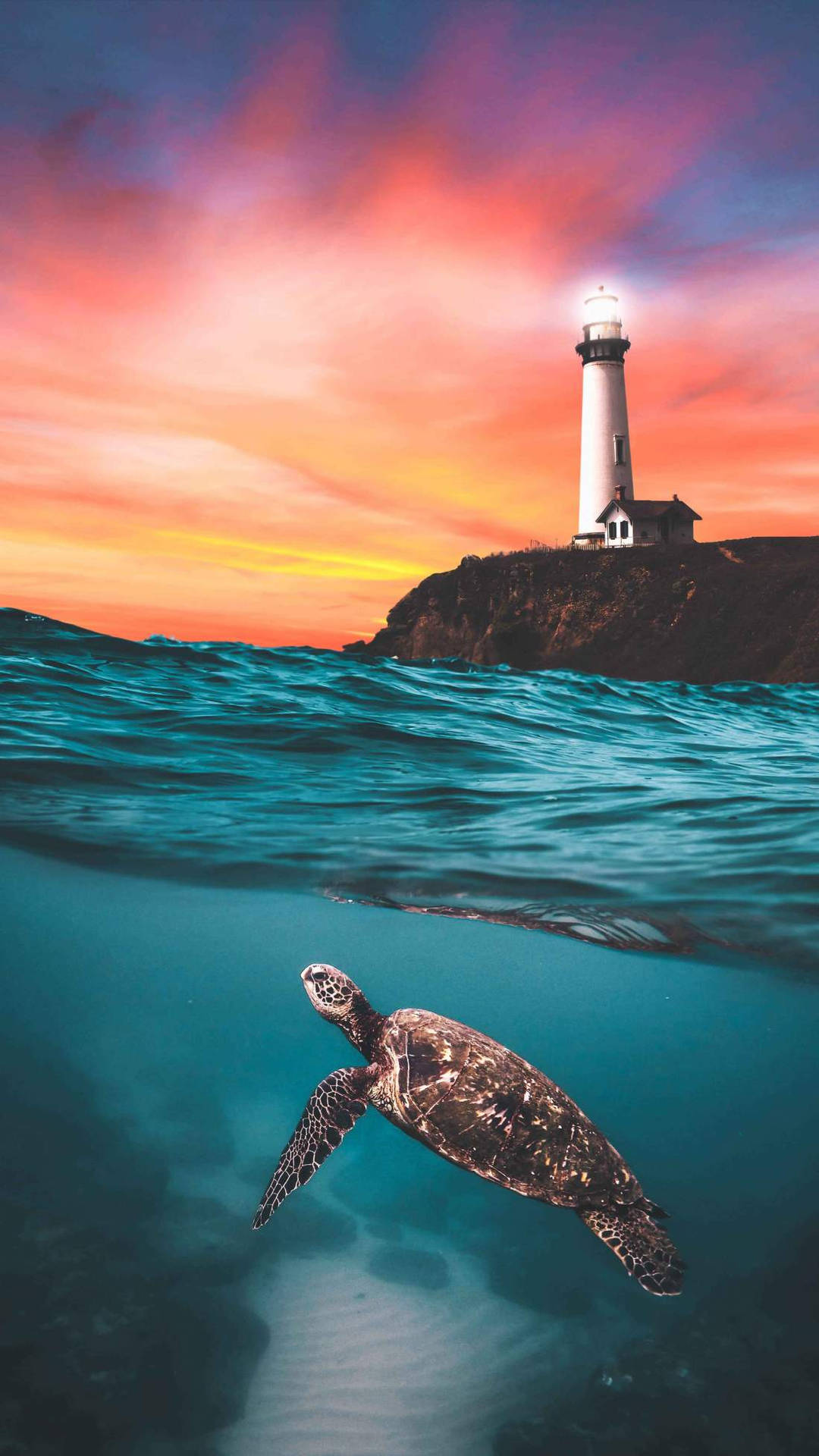 Sea Turtle Orange Sky iPhone Wallpaper