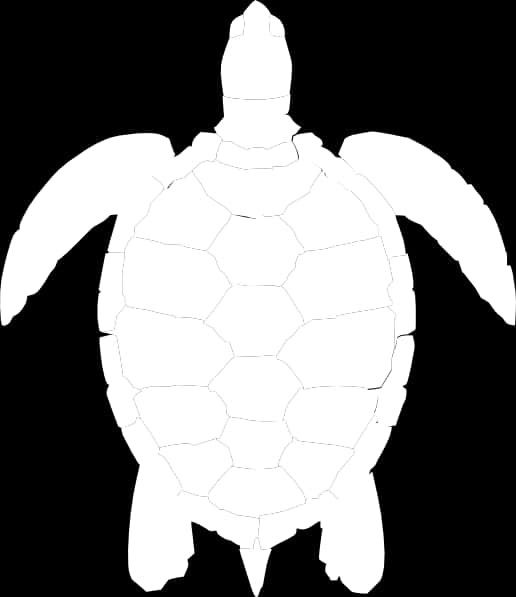 Sea Turtle Silhouette Graphic PNG