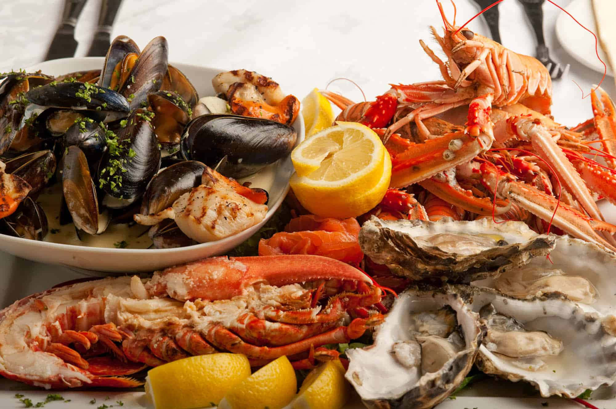 Serve Up Delicious Seafood Today