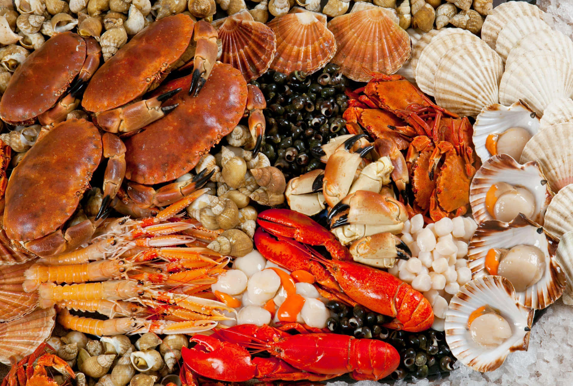 Invigorate your senses with fresh and delicious seafood!