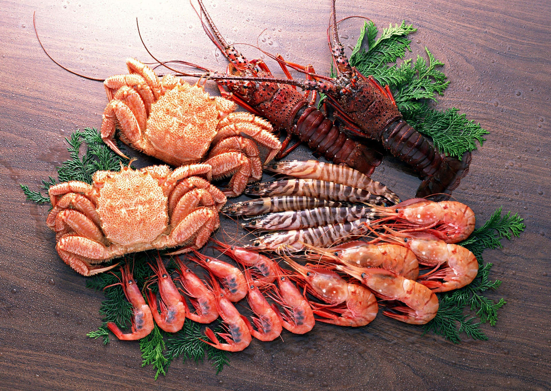 Dive into the world of delicious seafood!