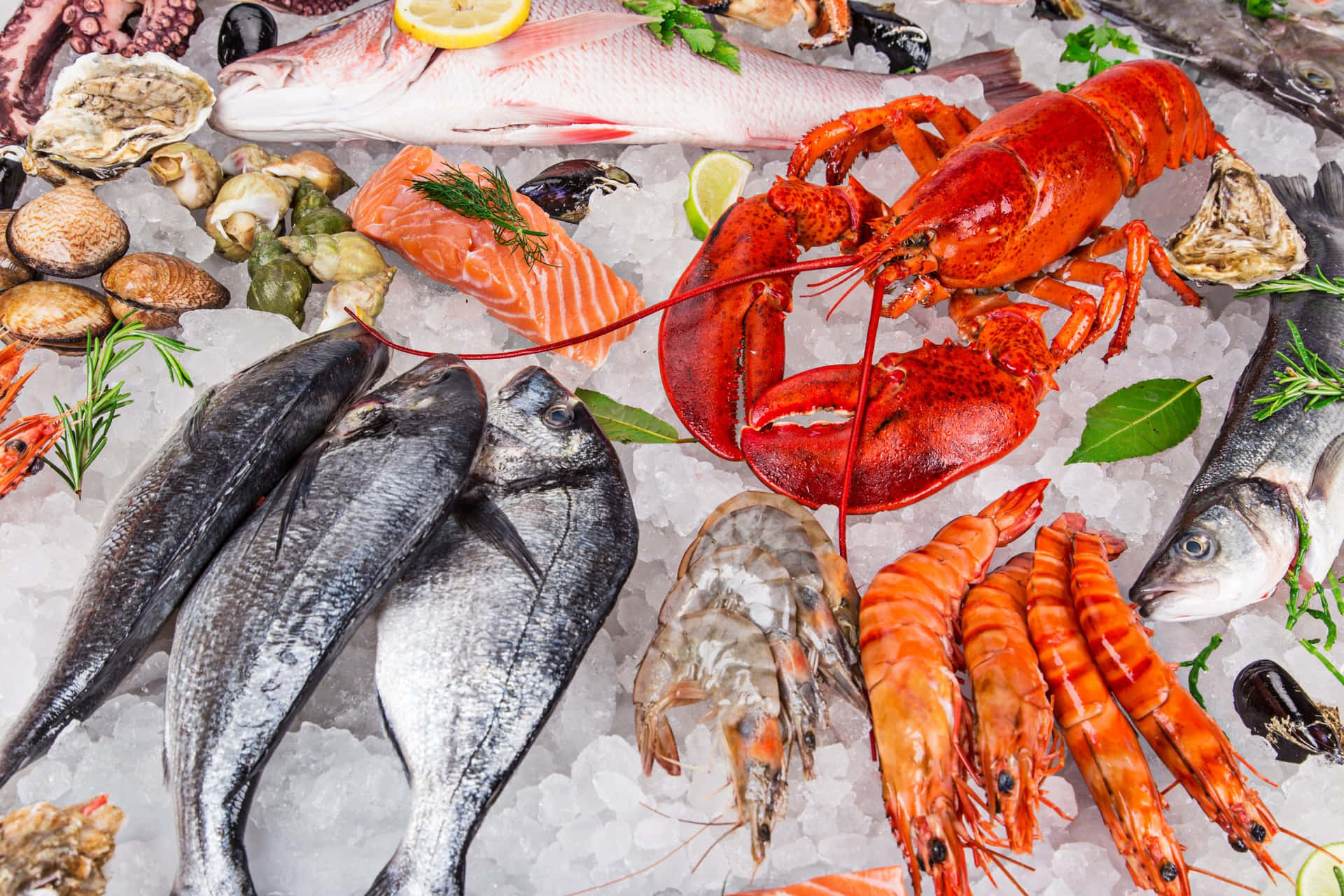 An array of colorful and delicious seafood dishes