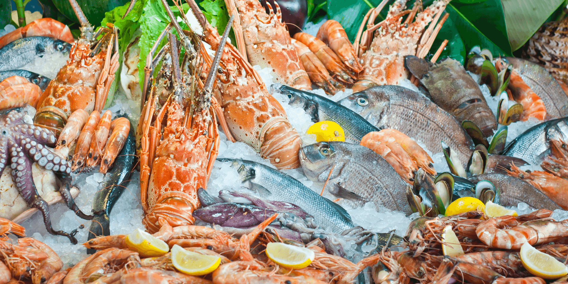 a display of seafood