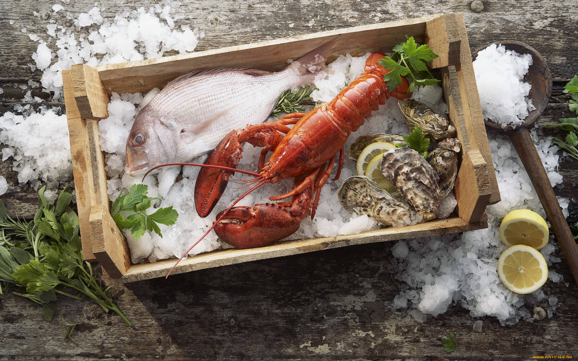 Seafood Raw Lobster Wallpaper