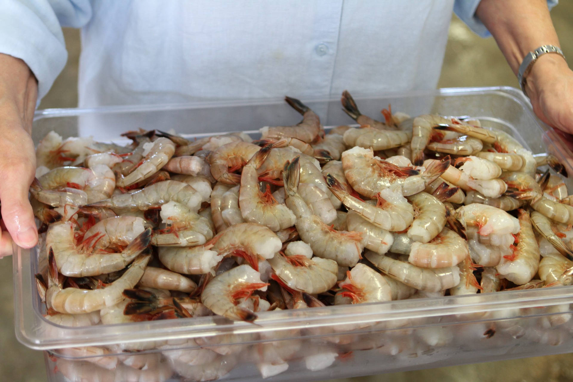 Seafood Raw Shrimp