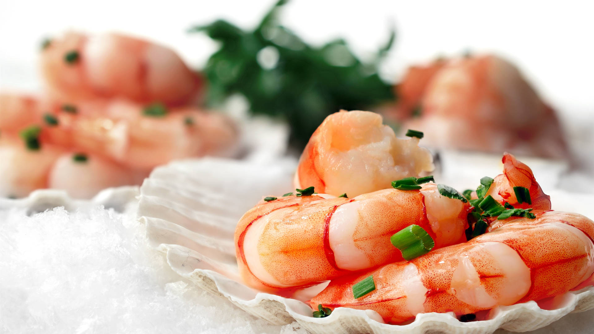 Seafood Skinless Shrimp Wallpaper