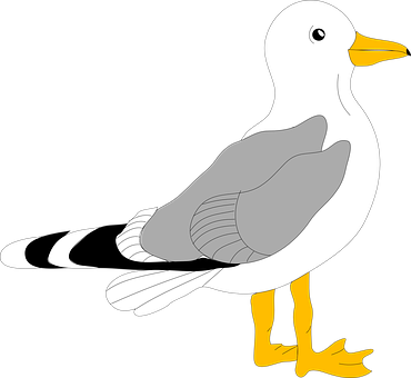 Seagull Graphic Illustration PNG