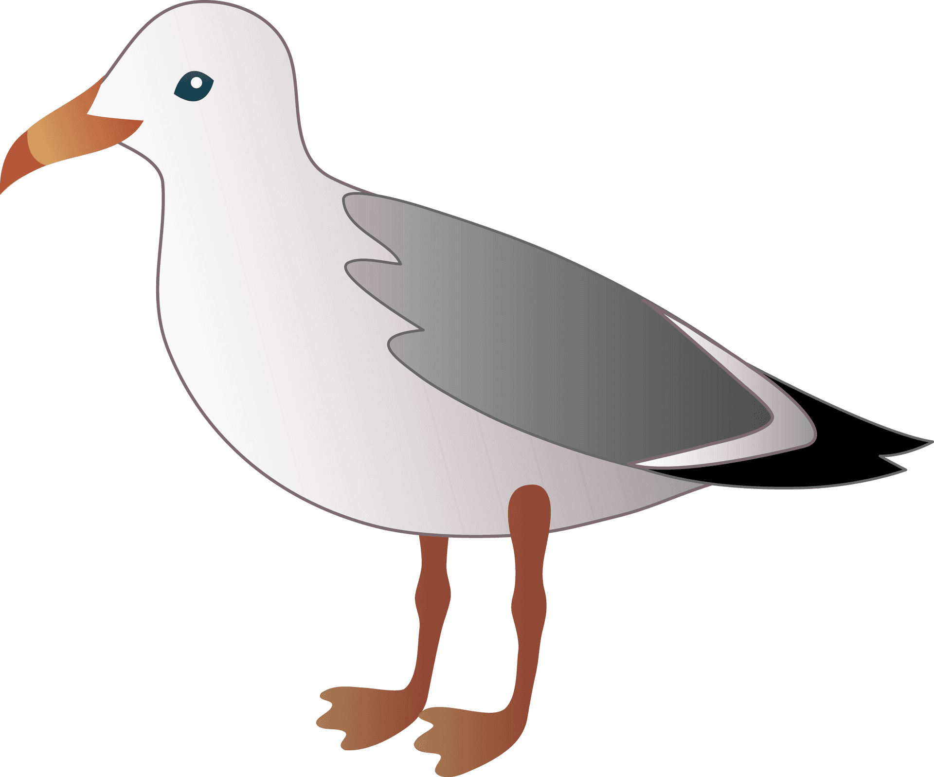 Seagull Vector Illustration PNG