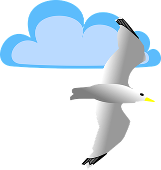 Seagulland Cloud Vector PNG