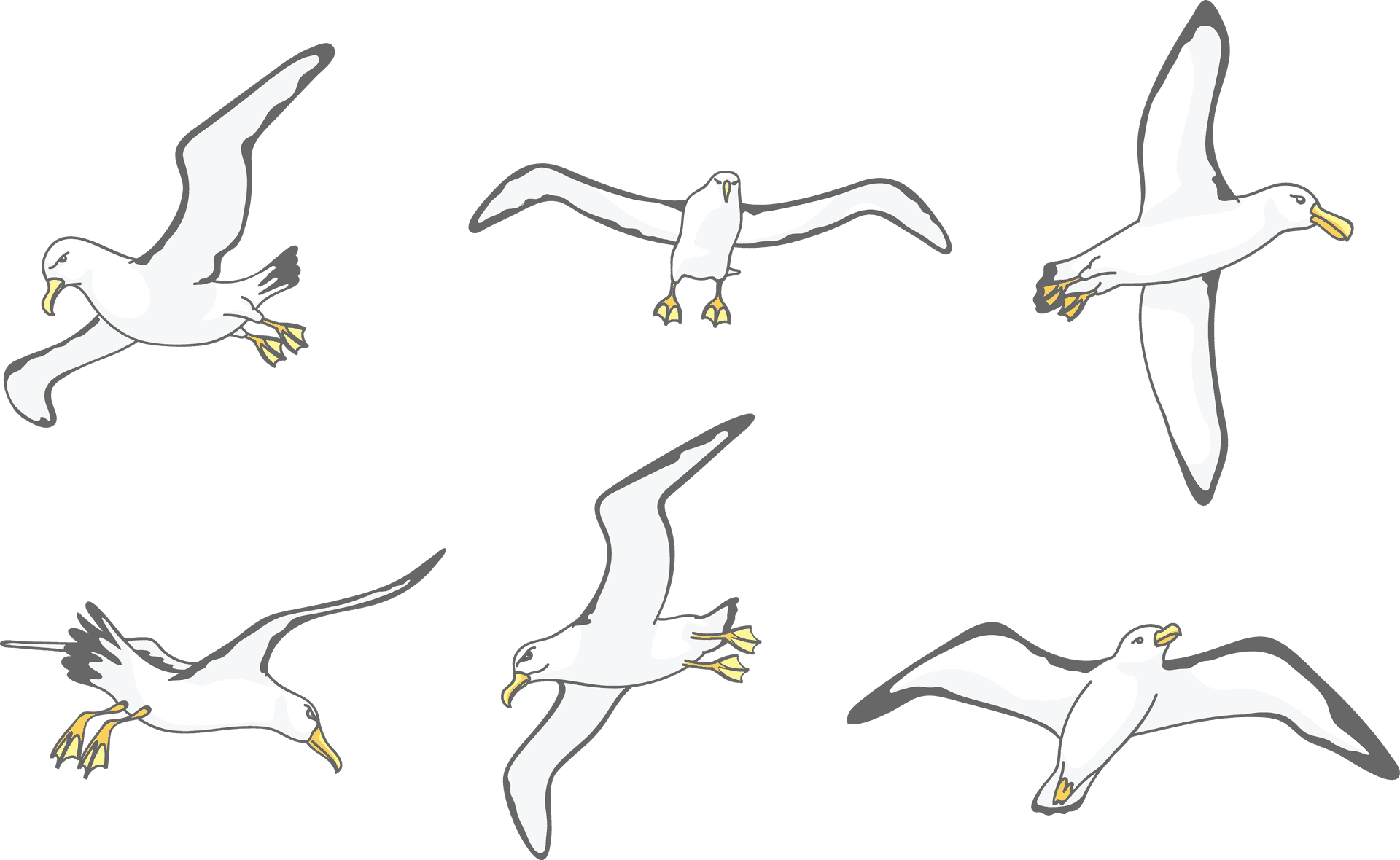 Download Seagulls_ Gliding_ Across_ Sky | Wallpapers.com