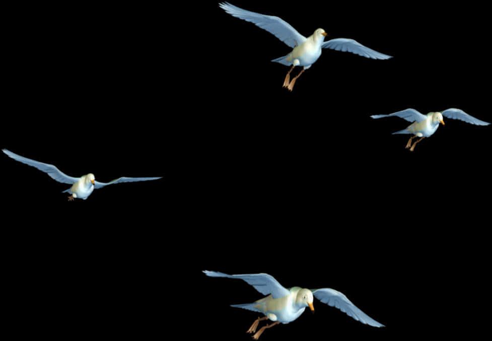 Seagullsin Flight Sequence PNG