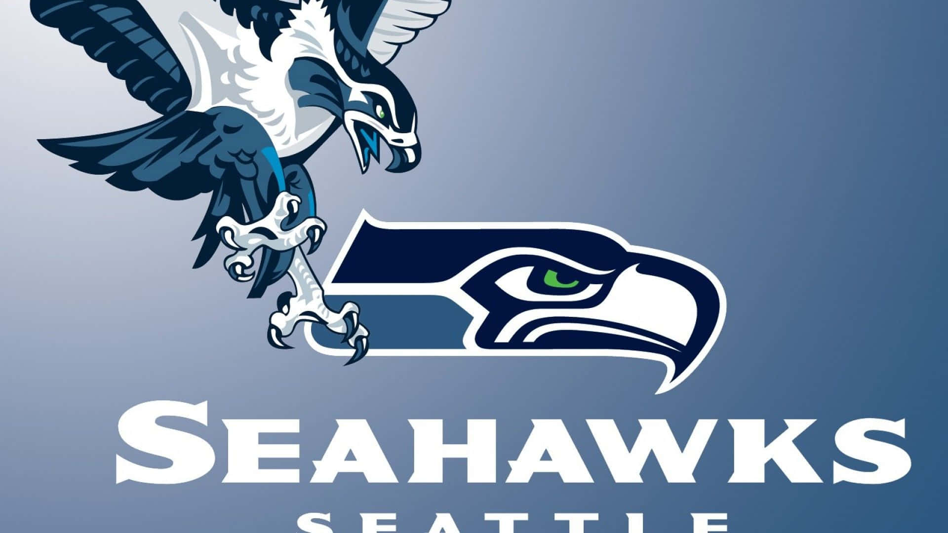 Seattle Seahawks in Action