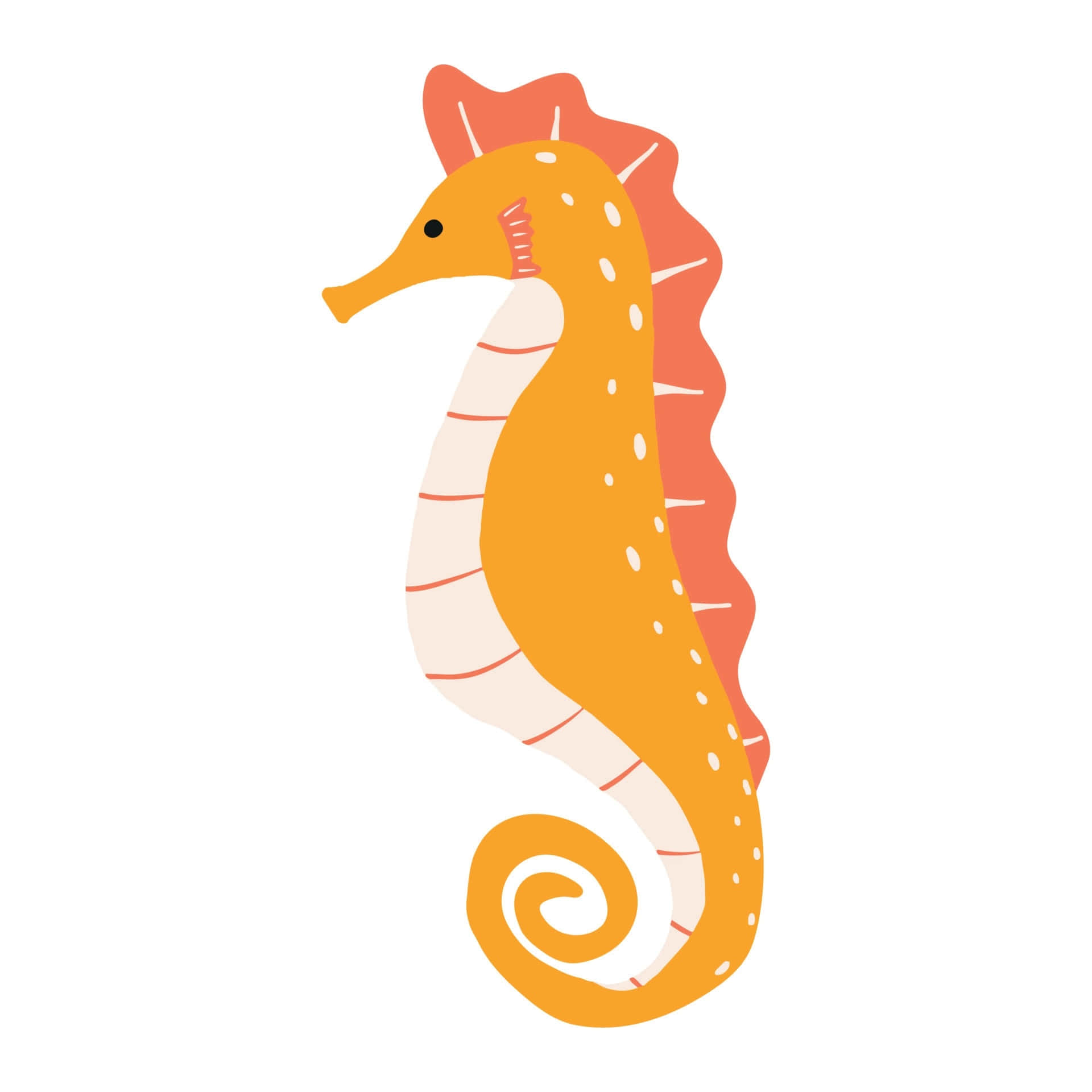 A bright orange seahorse among coral in a clear tropical ocean.
