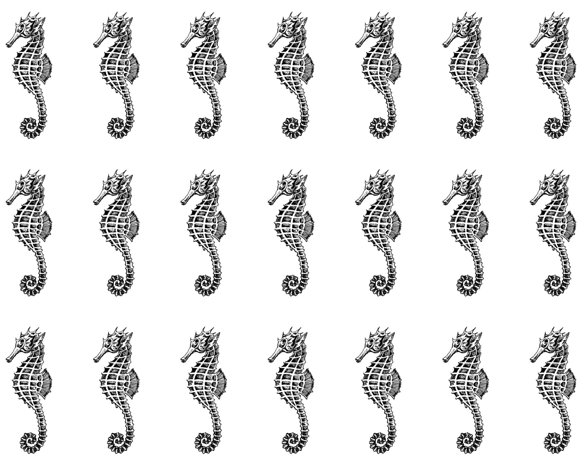Maori style seahorse (Maori series: WATER) seahorse hippocampus original  Polynesian tattoo design