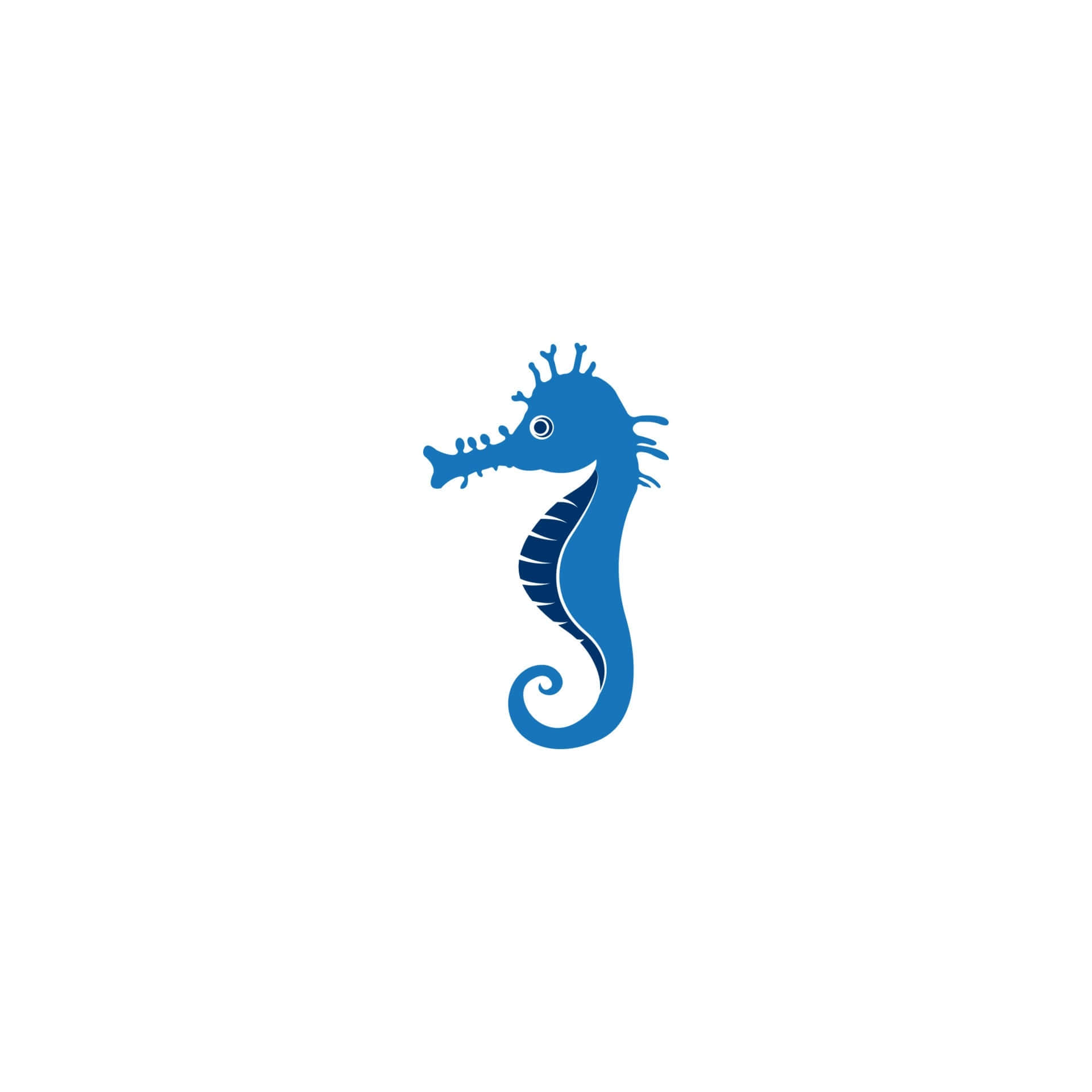 A beautiful ocean seahorse
