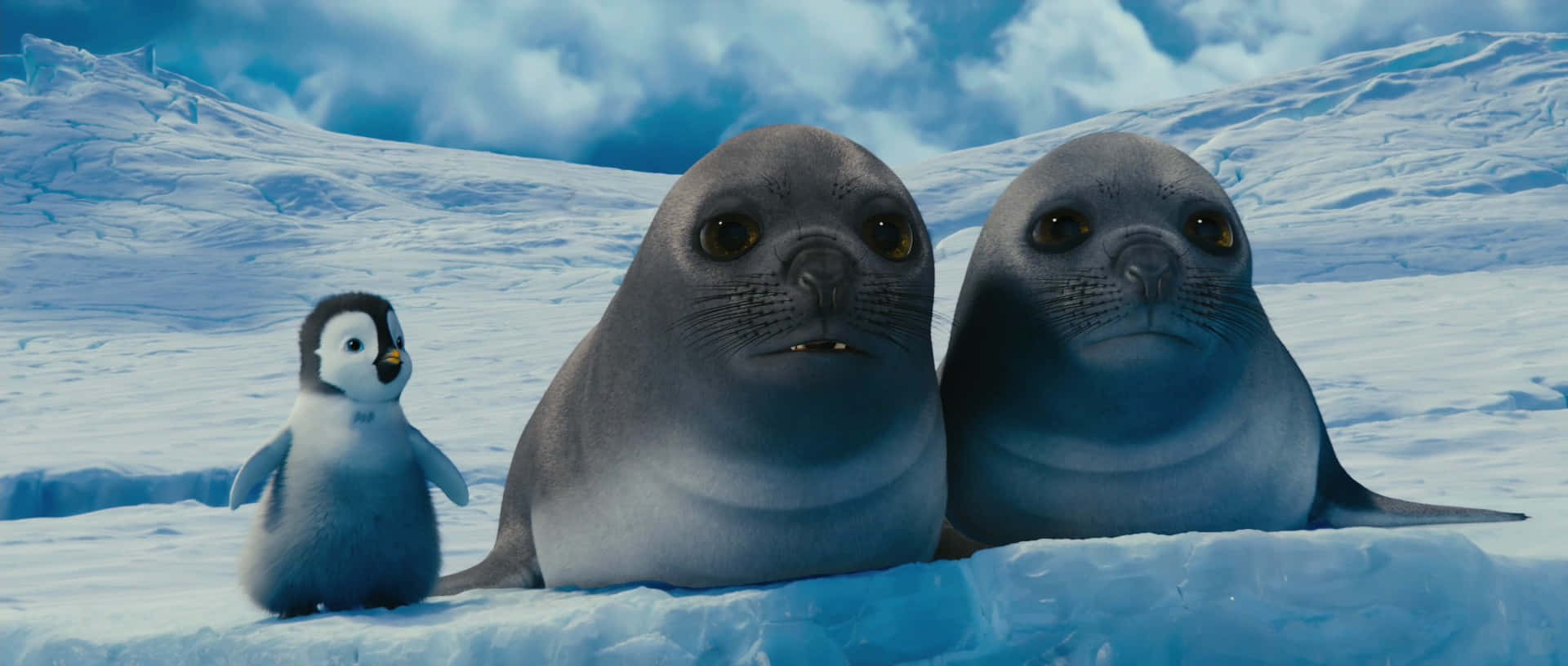 Seals From Happy Feet Two Wallpaper