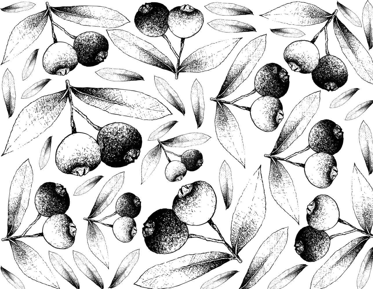 Seamless Black And White Patter Of Brush Cherry Wallpaper