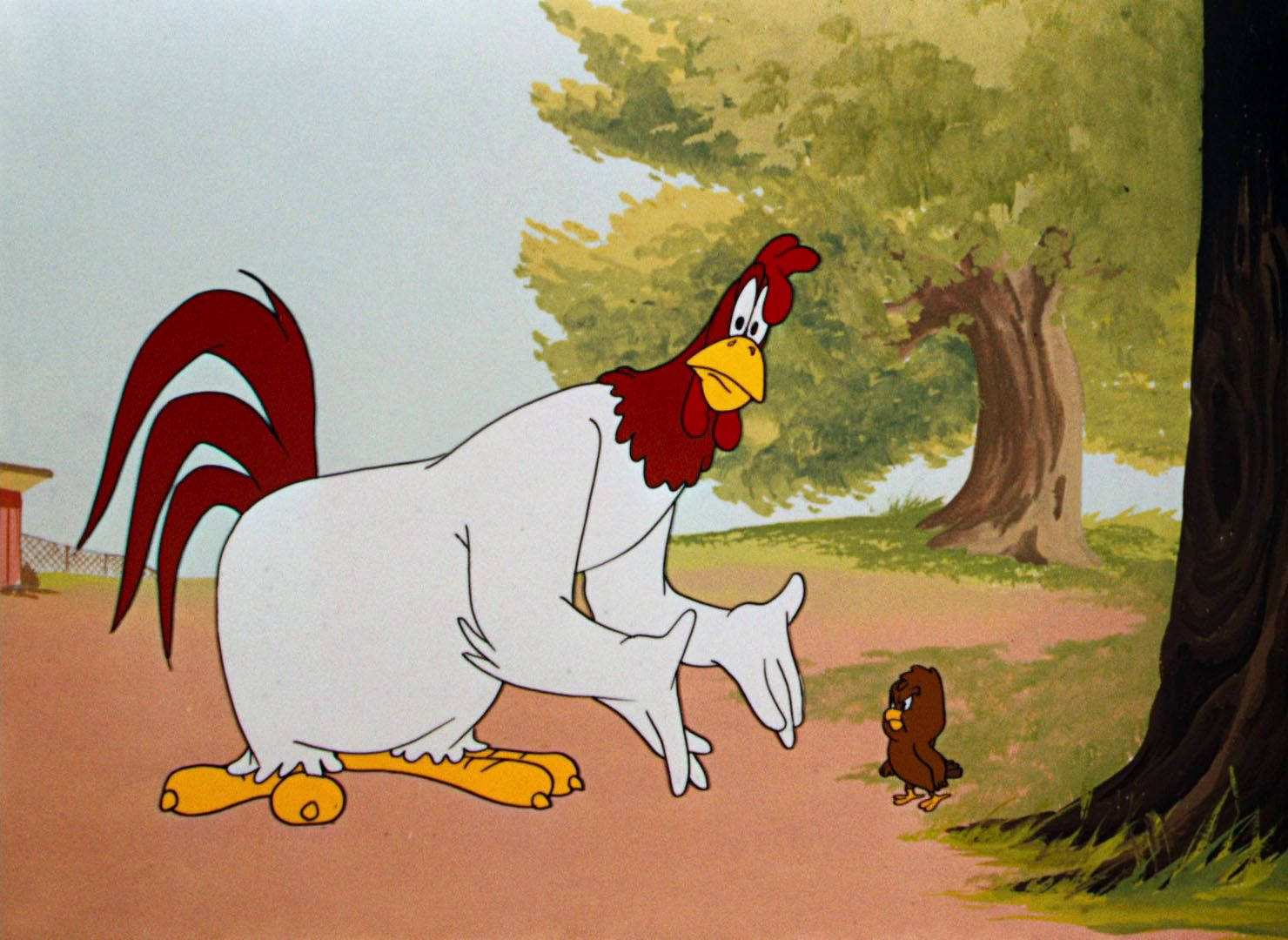 Foghorn Leghorn, the famous character from Looney Tunes Wallpaper