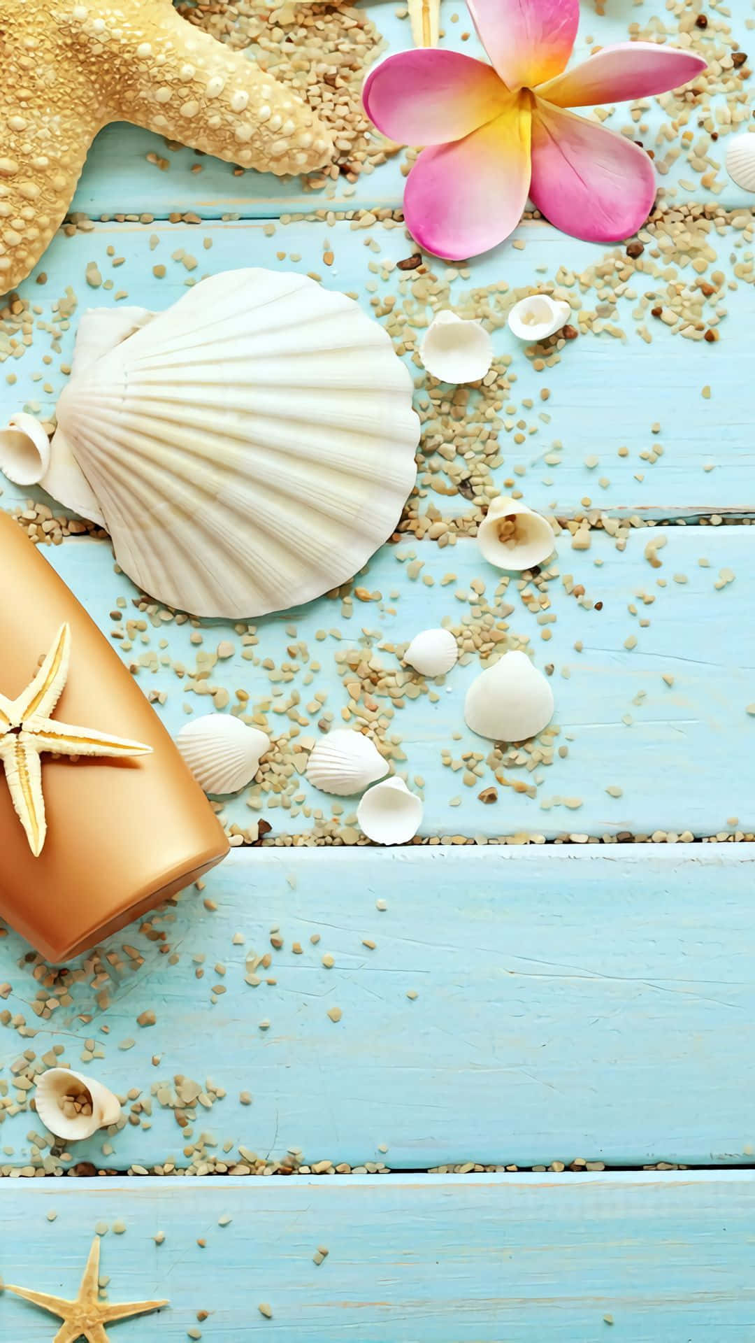 A beautiful seashell on a white beach.