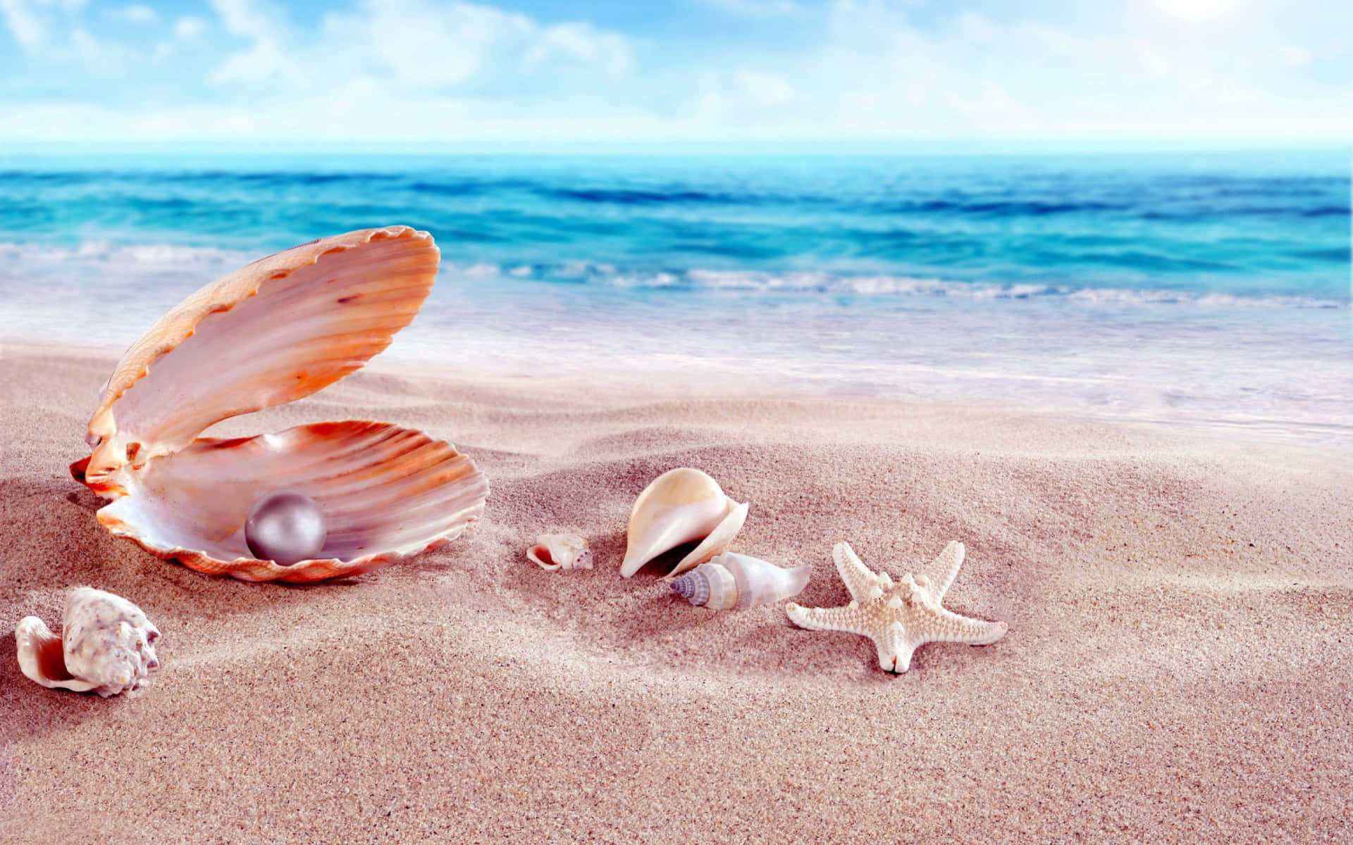Scattered Seashells on the Shore
