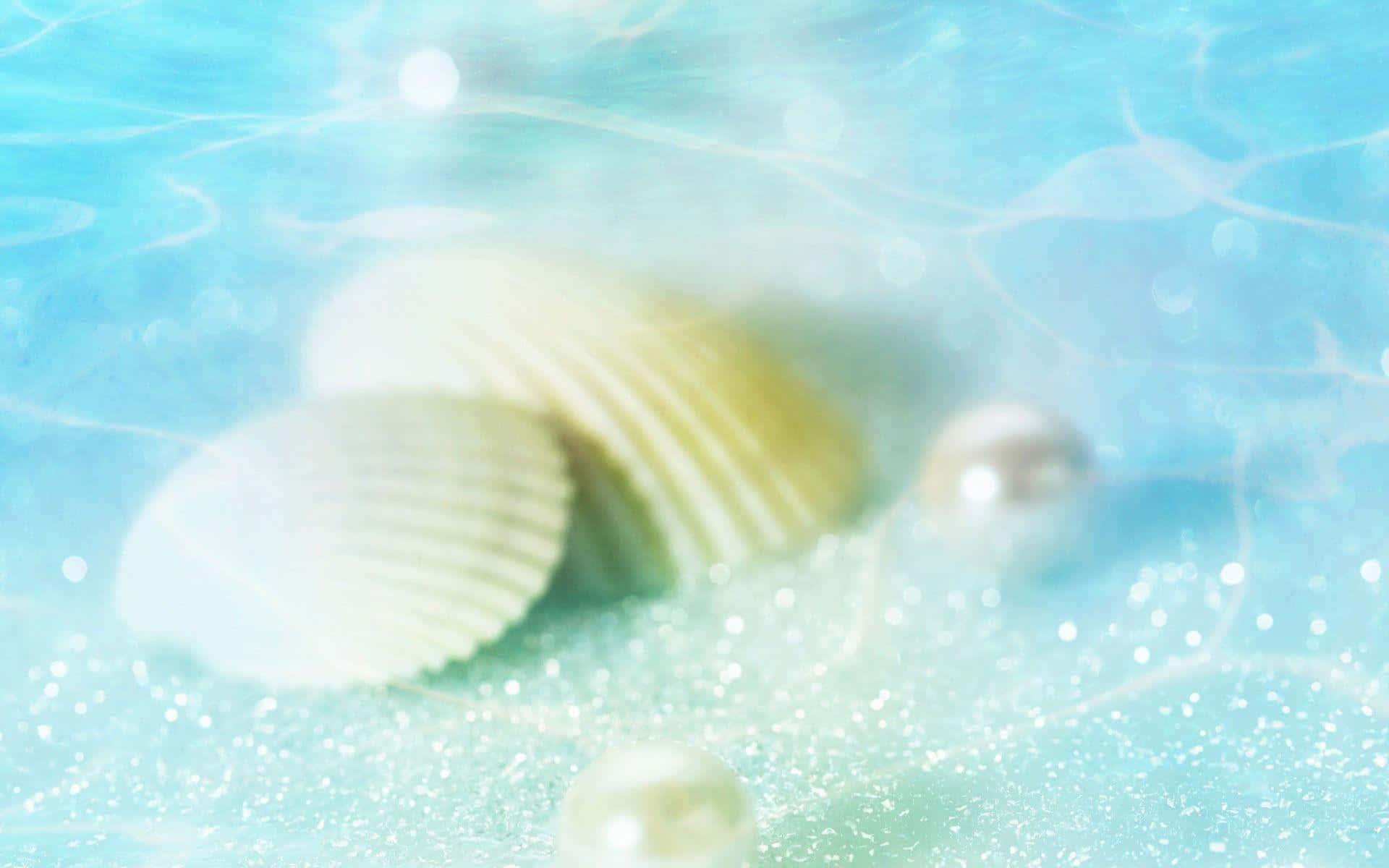 An Elegant Display of Seashells on the Beach