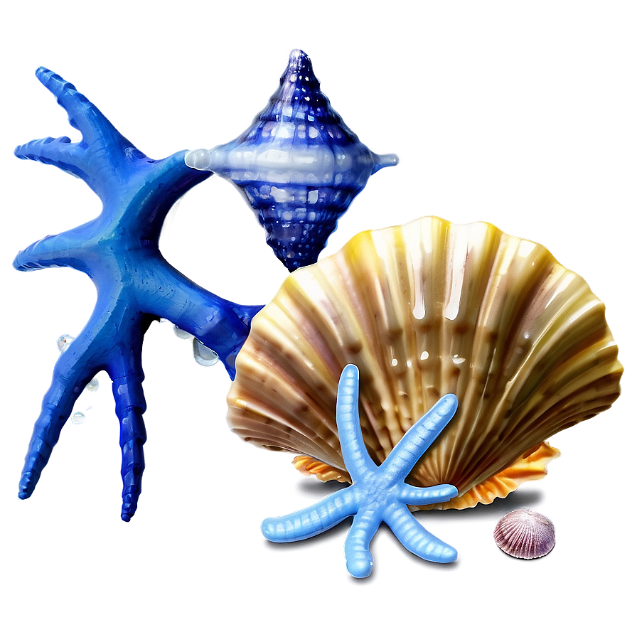 Seashell And Starfish Png Img PNG