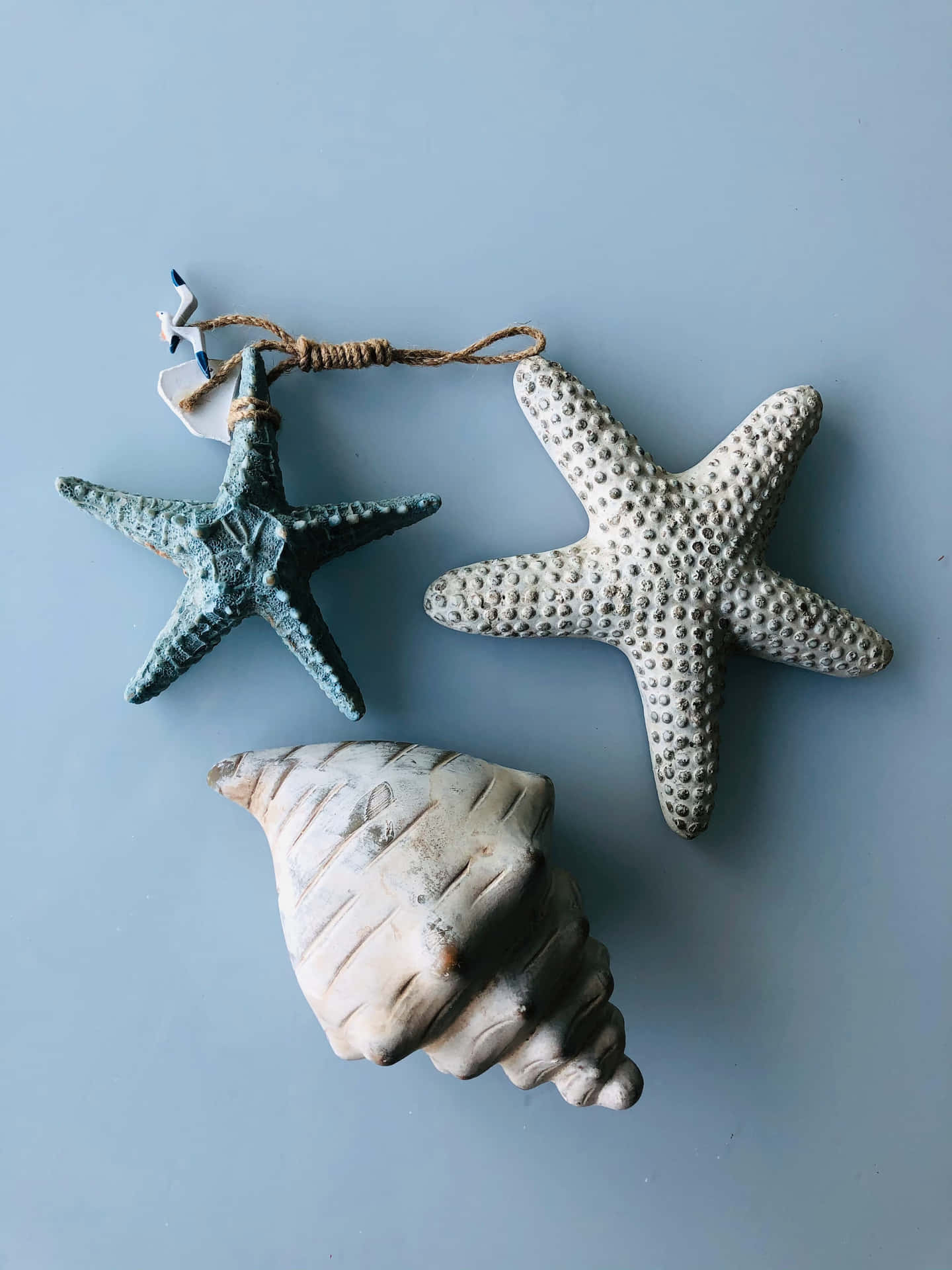 Seashell And Starfishes Light Blue Aesthetic Picture