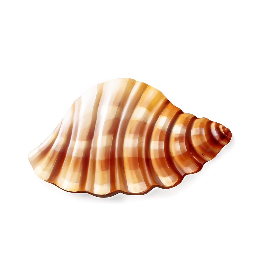 Seashell Cartoon Image Png Snv91 PNG