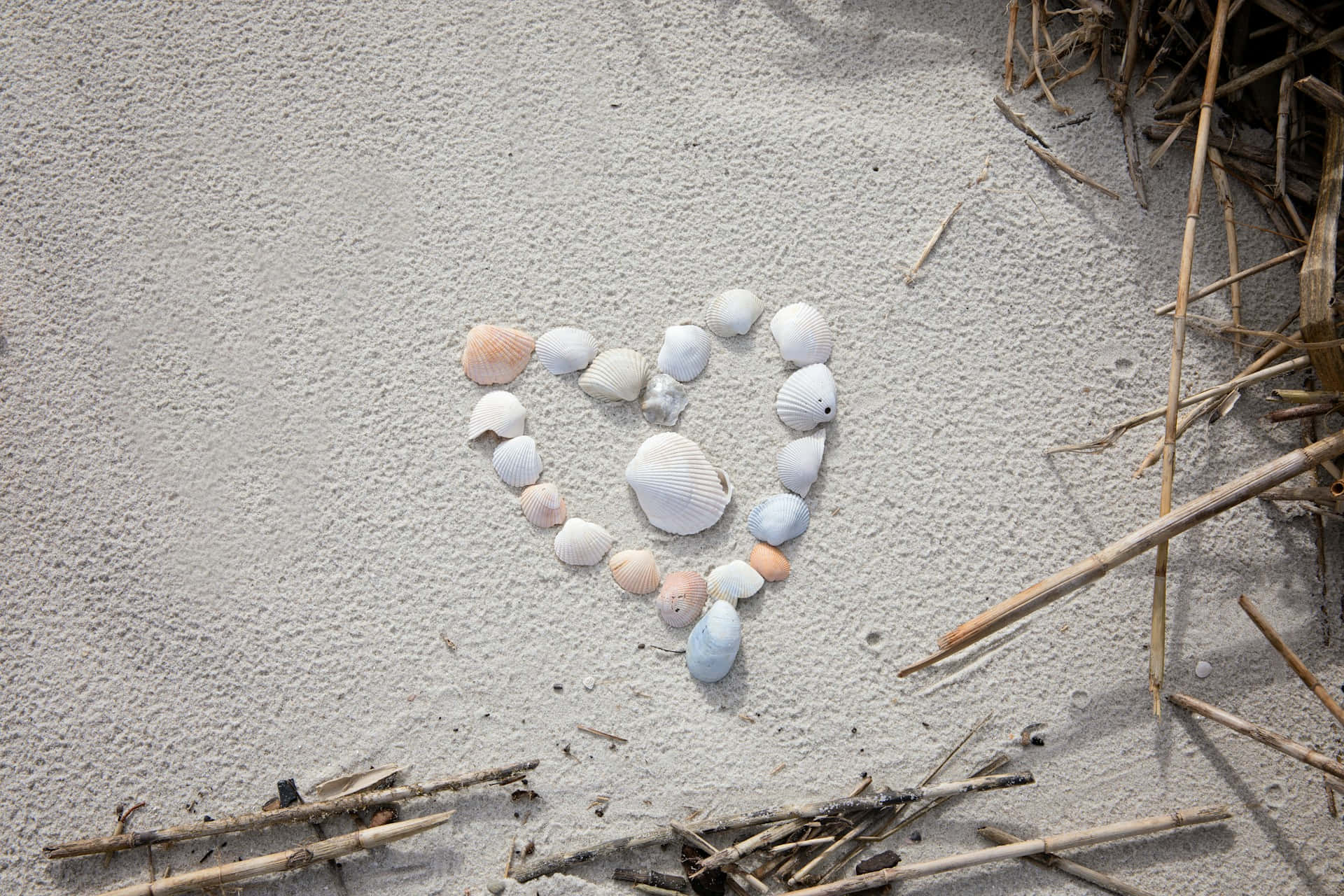 Seashell Hearton Sand Wallpaper