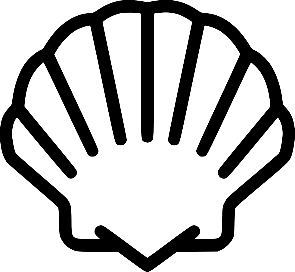 Seashell Icon Outline PNG
